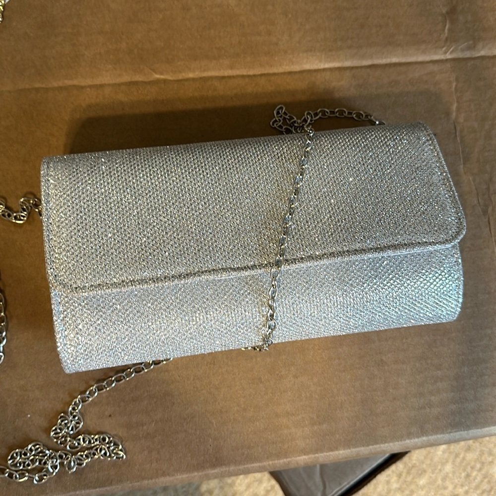 Silver Clutch Purse